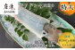 呼子名物！新鮮いか活造り特大サイズをお届けいたします！
たっぷり360gで食べごたえあり！
