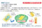 冷凍庫から取り出し同封のお召し上がり手順で、
いか活造りが簡単にお召し上がりいただけます。