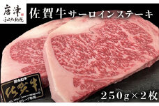 佐賀牛サーロインステーキ 250g×2枚(合計500g) 牛肉 ステーキ BBQ アウトドア