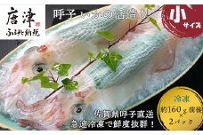 呼子のいか活造り(160g前後×2) 小サイズ コリコリ甘い鮮度抜群の透明感! 刺身 ギフト 冷凍