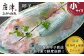 漁業が盛んな呼子では、玄海の海で生き生きと育った活イカは、
驚くほど透き通っていて、とっても新鮮。