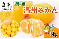 『先行予約』【11月上旬発送予定】唐津産 温州みかん 5kg バラ ハウスみかん ミカン 果物 フルーツ
