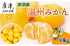 『先行予約』【11月上旬発送予定】唐津産 温州みかん 10kg バラ ハウスみかん ミカン 果物 フルーツ