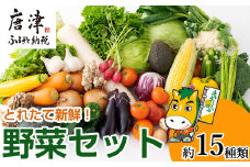 野菜セット 新鮮とれたて旬の野菜 季節の野菜 詰合せ サラダ