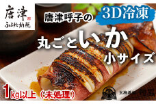 唐津呼子産 丸ごといか(小サイズ)未処理 1kg以上 海鮮 新鮮 刺身 フライ 煮物 姿焼 「2024年 令和6年」