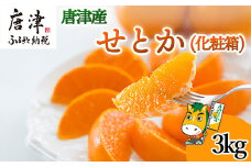 『先行予約』【令和8年1月下旬発送予定】唐津産 せとか 3kg 化粧箱 みかん ミカン オレンジ フルーツ 果物 ギフト