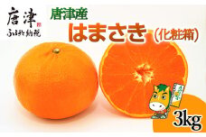 『先行予約』【令和8年1月下旬発送予定】唐津産 はまさき 3kg 化粧箱 みかん ミカン オレンジ フルーツ 果物 ギフト