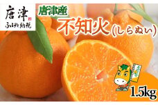 『予約受付』【令和6年12月中旬発送】唐津産 しらぬい(不知火) 1.5kg セレクト箱 みかん でこぽん オレンジ フルーツ 果物 ギフト
