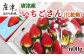 佐賀県自慢の「いちごさん」！！