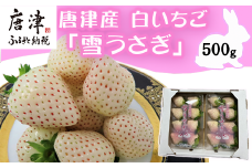 『予約受付』【令和7年2月中旬発送】唐津産 白いちご「雪うさぎ 」苺 イチゴ 希少 果物 フルーツ 脇山農園