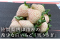 生産量も少なく、栽培が難しい、希少価値の高いイチゴ