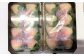 250g×2パック(約6玉～15玉入）をお届けします。