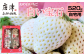 幻の白いちご！約130ｇ×4　香り高く味はフルーティ♪