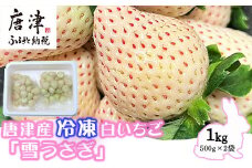 唐津産 冷凍白いちご「雪うさぎ」500g×2袋(合計1kg) 真空包装 加工品用 苺 イチゴ 希少 果物 フルーツ