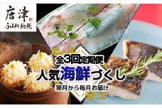 「全3回定期便」唐津で人気海鮮づくし 寄付の翌月からお届け！呼子のいか活造り 魚 個食パック いかしゅうまい 