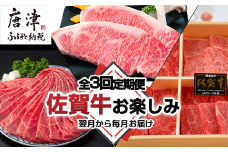 「全3回定期便」佐賀牛お楽しみ 鍋・ステーキ・焼き肉BBQ 寄付の翌月からお届け！スライス 希少部位 サーロイン 「2024年 令和6年」