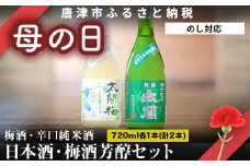 「母の日」唐津地酒太閤 芳醇な辛口の特別純米酒と口当たり柔らかな梅酒 720ml各1本(計2本) 日本酒・梅酒芳醇セットA-4
