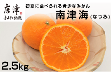 『予約受付』【令和7年4月上旬発送】南津海(なつみ) ハウス栽培 唐津産 2.5kg みかん ミカン 果物 フルーツ 柑橘