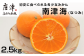 初夏に食べられる希少なみかん　南津海(なつみ)