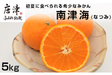 『予約受付』【令和7年4月上旬発送】南津海(なつみ) ハウス栽培 唐津産 5kg みかん ミカン 果物 フルーツ 柑橘
