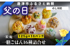 「父の日」(一粒庵) 一膳ごはん16種詰合せ 125g×16(合計2kg) 簡単調理 玄米 おこわ