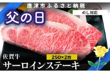 「父の日」佐賀牛 サーロインステーキ250g×2枚 (合計500g) 和牛 ご褒美に ギフト用 2人前 霜降り牛肉