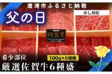 「父の日」佐賀牛希少部位100g×6種類(合計600g) にくのともる厳選 焼肉用 A5～A4等級 食べ比べ ギフト キャンプ