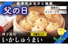「父の日」呼子萬坊いかしゅうまい2箱セット 呼子名物 惣菜 ギフト用 贈り物用