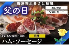 「父の日」トンネル氷零下熟成ハム・ソーセージセット TPC-2