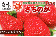 『先行予約』【令和8年2月より順次発送】濃厚苺 さちのか 250g×8パック(合計2kg) 濃厚いちご 苺 イチゴ 果物 フルーツ ビタミン
