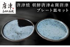 唐津焼 朝鮮唐津＆斑唐津プレート皿セット うつわ 器 和食器 渋い おしゃれ 重ねやすい おもてなし プレゼント 記念日 ギフト「2024年 令和6年」