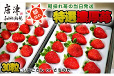 特選濃厚苺30粒 品種：いちごさん or さちのか 佐賀県唐津産 (贈答用・ギフト用・熨斗対応可・化粧箱) 濃厚いちご イチゴ フルーツ ビタミン 甘い 果物 苺