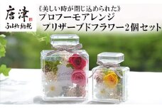 《美しい時が閉じ込められた》プロフーモアレンジ2個セット プリザーブドフラワー インテリア 置物 かわいい おしゃれ ハンドメイド 贈り物 ギフト 誕生日 枯れないお花