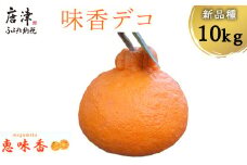 『先行予約』【令和8年3月上旬発送】糖度が高すぎッ！味香デコ 10kg 新品種 果皮も美味しく食べられる！フルーツ 果物 デザート 柑橘