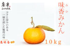 『先行予約』【令和8年2月上旬発送】果皮も丸ごとガブッ！味香みかん 10kg 新種のミカン フルーツ 果物 デザート 柑橘