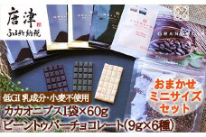 グランポワール 低GI 無添加 ビーントゥバーチョコレートミニサイズセット9g×6種･カカオニブス1袋×60g (合計114g) 乳/小麦/白砂糖不使用 糖質カット ヴィーガン対応 スイーツ ギフト