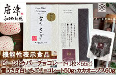 グランポワール ビーントゥバーチョコレート55g・雪うさぎ白いちごチョコレート50g・カカオニブス60g (合計165g) 無添加 砂糖不使用 低GI チョコレート ギフト