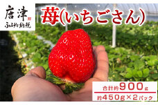 『先行予約』【12月上旬より順次発送】佐賀県唐津産いちごさん約450g×2パック(合計約900g) いちごさん イチゴ 果物