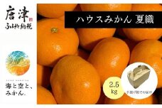 夏の極上ハウスみかん「夏織」2.5kg 手提げ箱入り～海と空と、みかん～甘くてとろける夏の果物 ミカン フルーツ 柑橘 ギフト