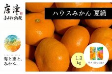 夏の極上ハウスみかん「夏織」1.3kg  贈答箱・ギフトボックス入り ～海と空と、みかん～ 甘くてとろける夏の果物に ミカン フルーツ 柑橘