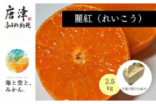 『先行予約』【令和8年1月中旬発送】唐津産ハウス育ち「麗紅」2.5kg 手提げ箱入り ～海と空と、みかん～ ミカン フルーツ 柑橘 ギフト