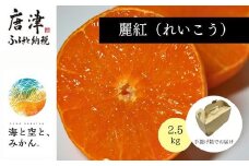『先行予約』【令和8年1月中旬発送】唐津産ハウス育ち「麗紅」2.5kg 手提げ箱入り ～海と空と、みかん～ ミカン フルーツ 柑橘 ギフト