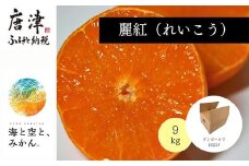 『予約受付』【令和7年2月上旬発送】唐津産ハウス育ち「麗紅」9kg ～海と空と、みかん～ ミカン 果物 フルーツ 柑橘 ギフト
