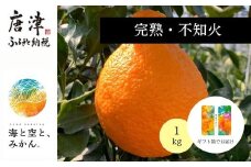 『先行予約』【令和8年1月下旬発送】唐津産ハウス育ち「不知火」1kg 贈答箱・ギフトボックス入り  ～海と空と、みかん～ デコポン ミカン みかん 柑橘 ギフト