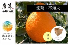 『先行予約』【令和8年1月下旬発送】唐津産ハウス育ち「不知火」9kg～海と空と、みかん～デコポン ミカン みかん 柑橘 ギフト
