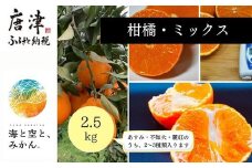 『予約受付』【令和7年1月中旬発送】唐津産ハウス育ち柑橘セット 2.5kg 手提げ箱 (麗紅・あすみ・不知火の中から2～3種) 品種おまかせ ～海と空と、みかん～ ミカン フルーツ 柑橘 ギフト