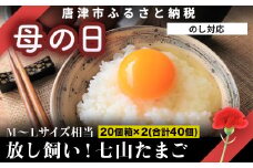 「母の日」放し飼い！七山たまご 20個箱×2(合計40個) (Ｍ~Ｌサイズ相当) 玉子 生卵 鶏卵 佐賀県唐津産
