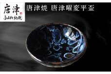 唐津焼 唐津曜変平盃 さかずき 平盃 曜変 曜変天目 酒器 日本酒  ギフト「2024年 令和6年」