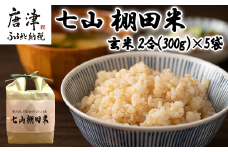 唐津産 七山 棚田米 コシヒカリ 玄米 2合(300g)×5袋セット 減農薬栽培 小分け袋 こしひかり ごはん コメ おにぎり