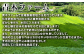 青木ファームでは減農薬栽培方法を行っています。
綺麗な川の水を注ぎ込み棚田を生かして栽培しているお米は絶品です。